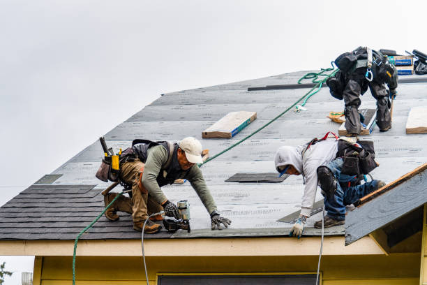 Professional Gutter Installation technician working in Curlew, WA